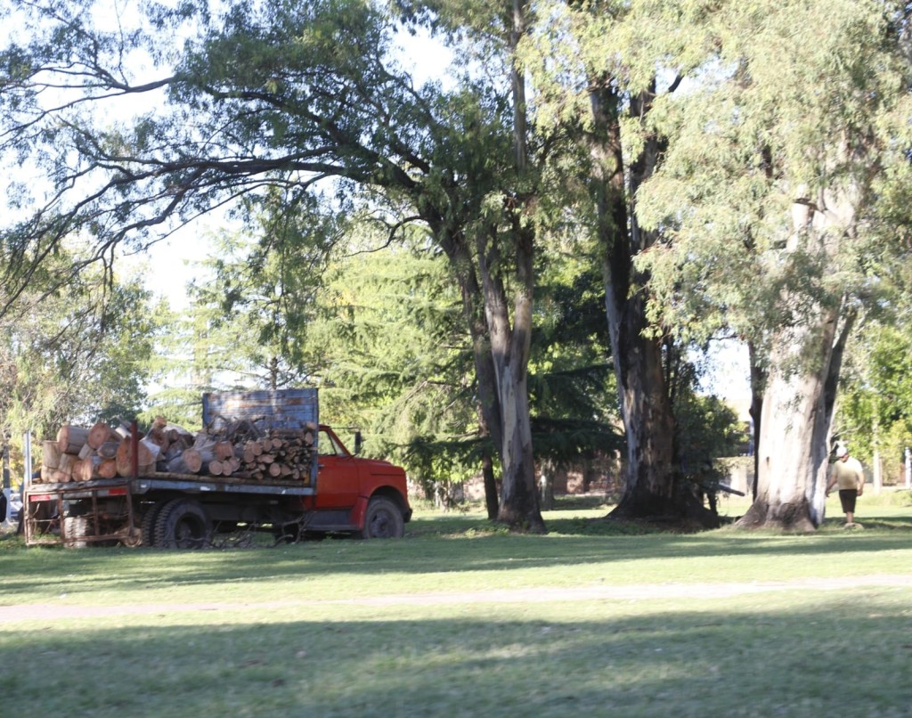 Comunicado de la Direcci&oacute;n de Gesti&oacute;n Espacios Verdes y Est&eacute;tica Urbana