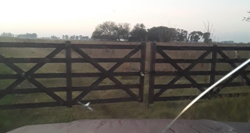 Sebasti&aacute;n Paganti: "Me faltaron del campo 4 terneros de 200 kilos y una vaca, los hemos buscado junto a la Polic&iacute;a, pero no aparecen"