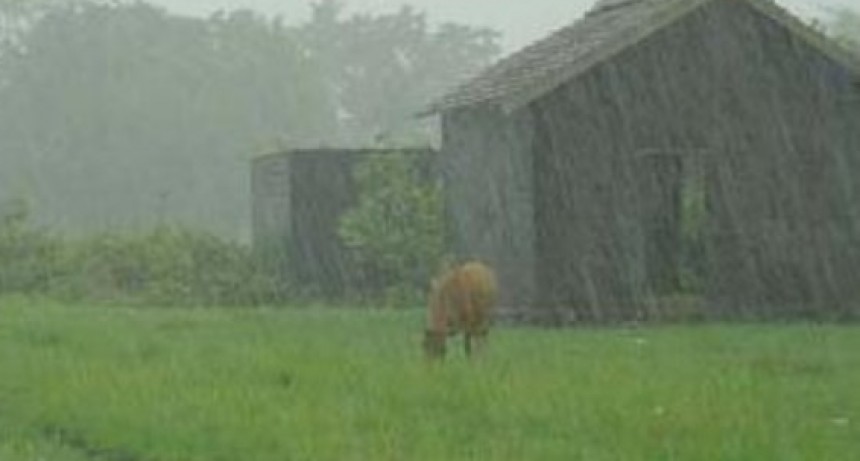 Entre 6 a 45 mm el registro de lluvias en el partido de Bol&iacute;var