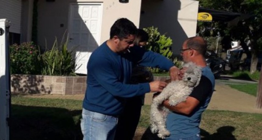 Comenz&oacute; la vacunaci&oacute;n antirr&aacute;bica gratuita para perros y gatos