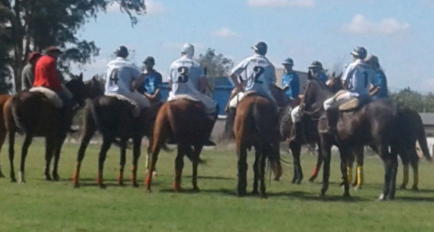 Pato y Polo en el predio en la Sociedad Rural de Bol&iacute;var
