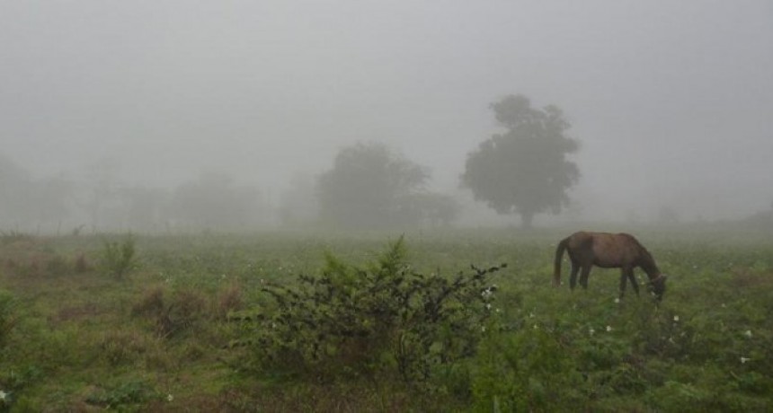 Lluvias en Bolívar y zona rural: Se dieron registros que van desde 3 hasta 67 milímetros