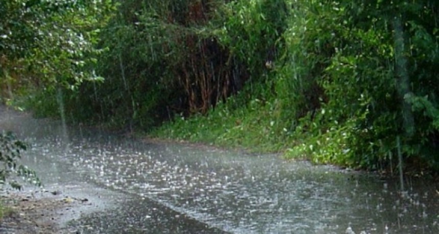 Se registraron hasta 30 mm caídos en Bolívar y la zona