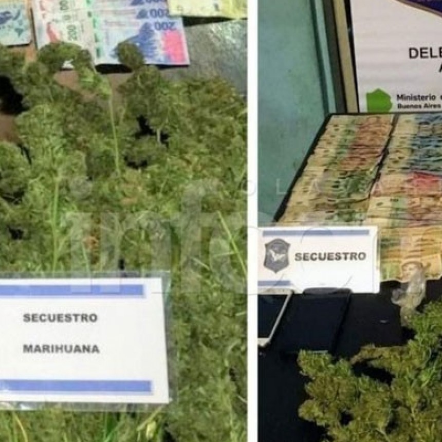 Olavarr&iacute;a: Dos aprehendidos tras allanamientos y secuestro de marihuana y dinero en efectivo