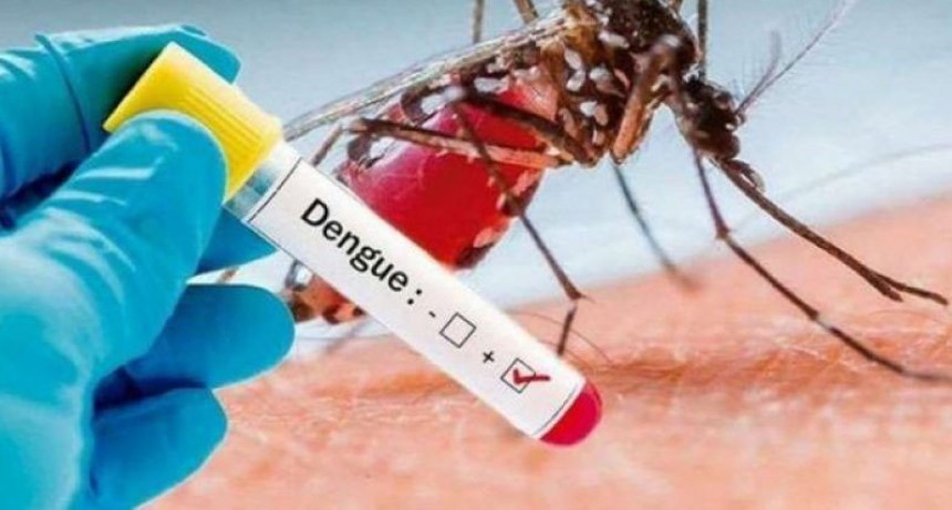 Saladillo; Se confirman dos casos positivos de Dengue