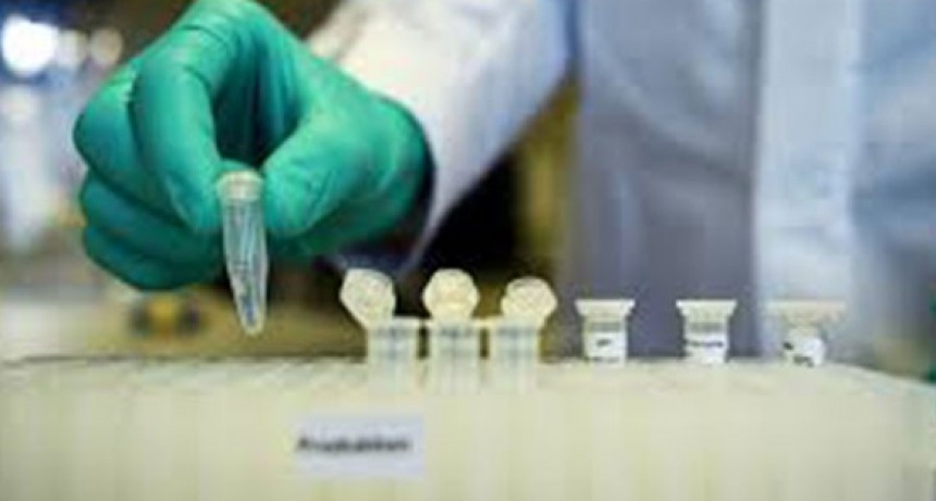 Coronavirus en Argentina: lograron descifrar el genoma del Covid-19 local