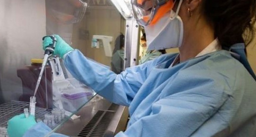 Confirmaron siete nuevas muertes por coronavirus y 166 contagios en las &uacute;ltimas 24 horas