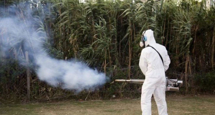 Los casos de dengue suman 947 en la provincia y hay brote en 29 municipios