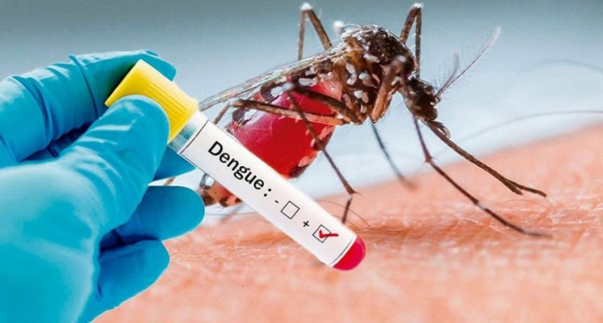 Saladillo; Se confirmaron dos casos m&aacute;s de dengue