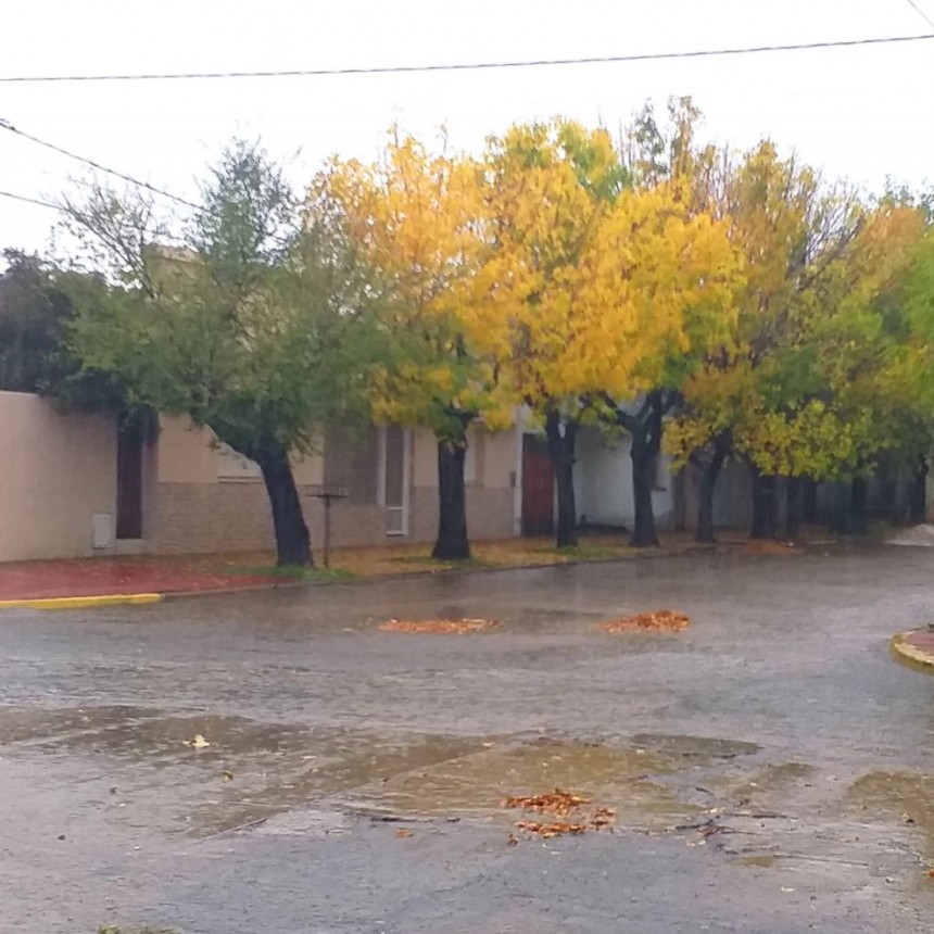 Registro de lluvias: Desde 25 hasta 105 mm registrados en el Partido de Bol&iacute;var y la zona