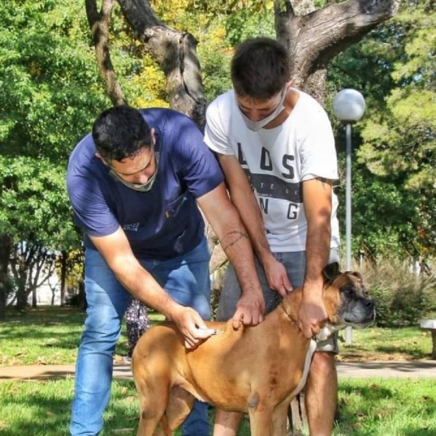 Tenencia responsable, una campaña de la Dirección de Zoonósis