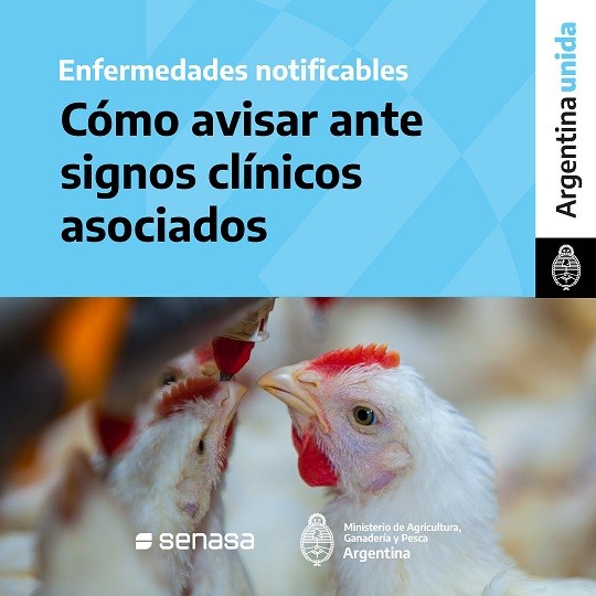 El Senasa brinda recomendaciones sobre enfermedades de los animales cuya notificación promueve su detección temprana