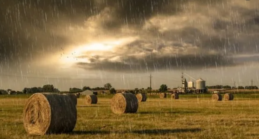 Registros de lluvias que van de 40 a 120 milímetros en el partido de Bolívar
