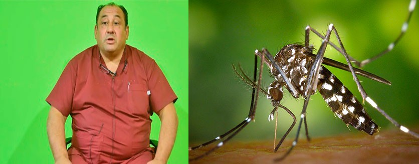 Pehuajó tiene el primer caso de Dengue