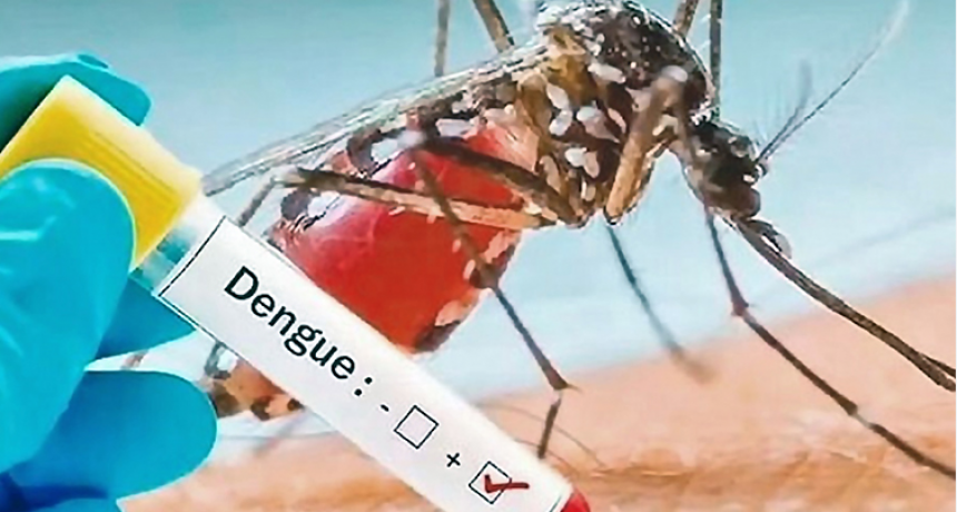 Confirman un caso de Dengue en Carlos Casares