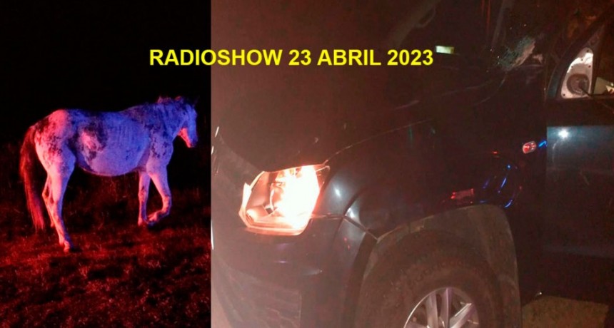 Ruta 226: Un conductor de Dudignac impactó contra un equino