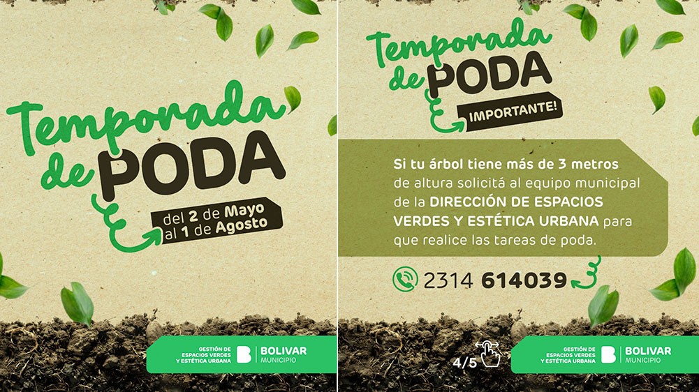 Comienza la temporada de Poda:  el Municipio promueve la poda responsable y el cuidado del arolado urbano de la ciudad