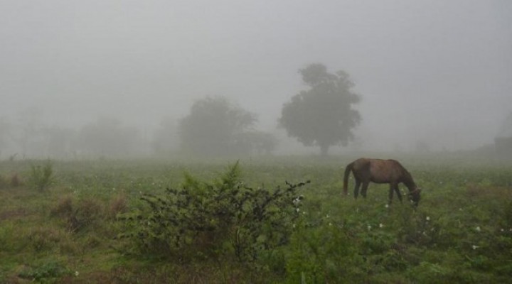 Lluvias en Bolívar y zona rural: Se dieron registros que van desde 7 hasta 29 milímetros