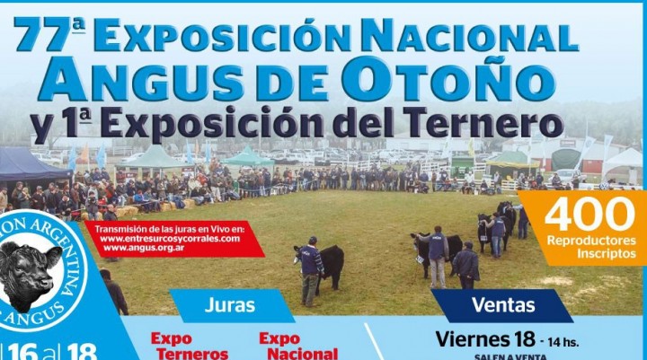 Llega la 77&ordm; Expo AnGus de Oto&ntilde;o