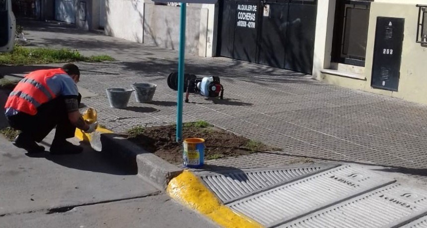 Se est&aacute;n colocando rampas de accesibilidad en edificios p&uacute;blicos