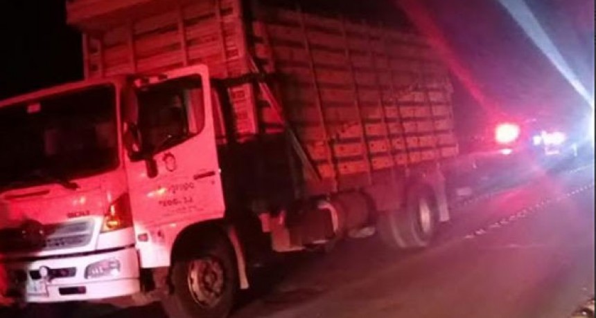 Saladillo: Robaron un cami&oacute;n cargado de pollos y lo abandonaron sobre ruta 205