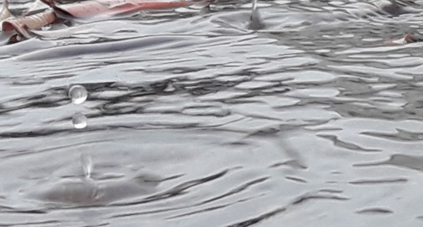 Lluvia registrada este jueves 30; hasta 15 mm en Bol&iacute;var y la zona
