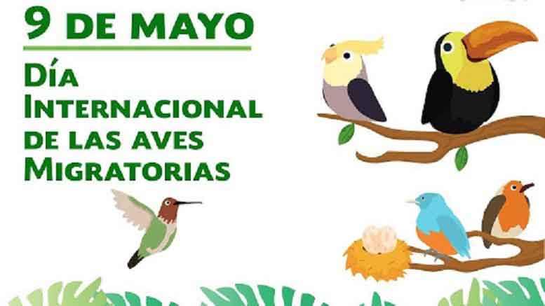 factor Sala Juguetón 09 de mayo: Día Mundial de las Aves Migratorias