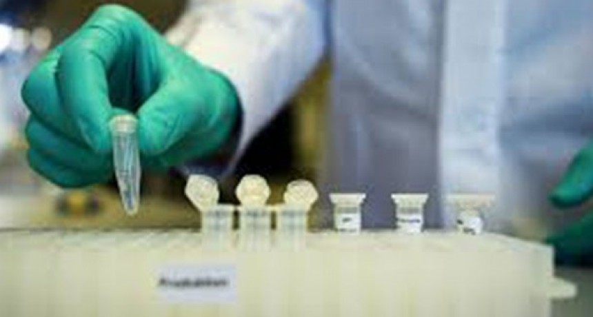Cient&iacute;ficos argentinos avanzan en la obtenci&oacute;n de anticuerpos de animales contra el coronavirus