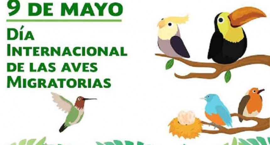09 de mayo: D&iacute;a Mundial de las Aves Migratorias