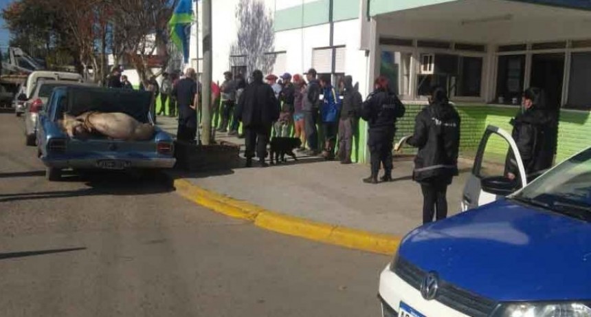 Coronel Vidal: Decenas de detenidos por cazar chanchos que hab&iacute;an ca&iacute;do de un cami&oacute;n que volc&oacute; a la vera de la ruta 2
