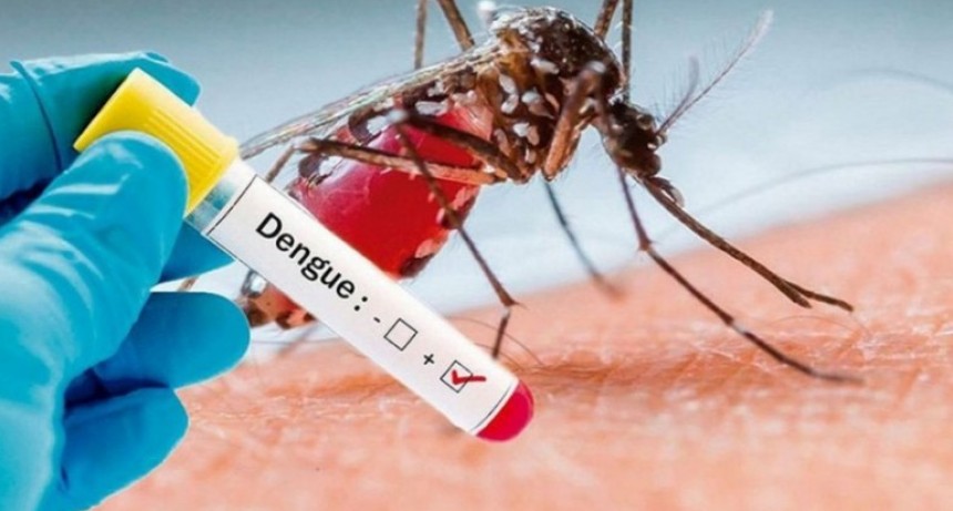 M&aacute;s de 32.000 casos de dengue en Argentina y 24 muertes desde julio del a&ntilde;o pasado