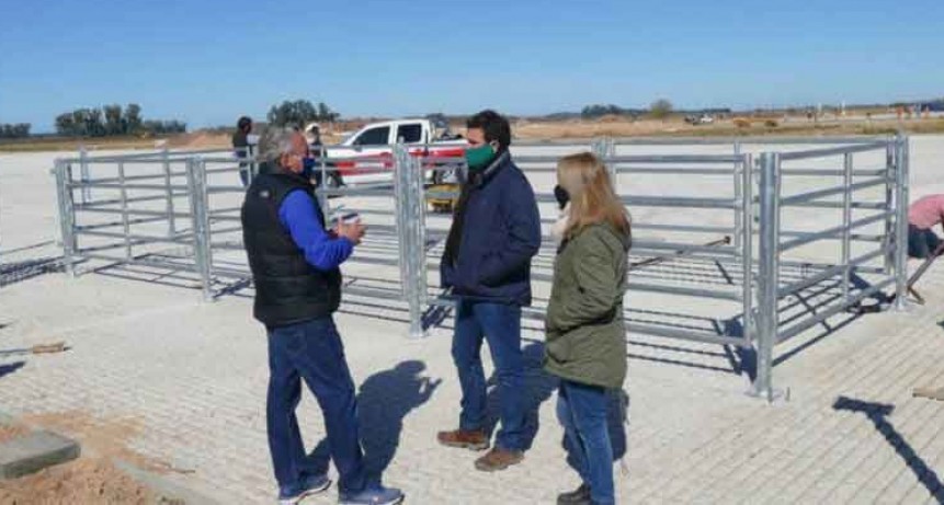 Reactivaron las obras del nuevo Mercado de Hacienda