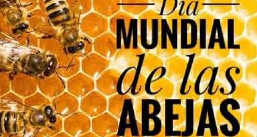 20 de mayo; D&iacute;a Mundial de las Abejas