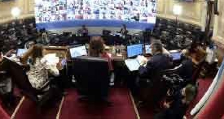 El Senado sesiona hoy para sancionar leyes vinculadas con la pandemia
