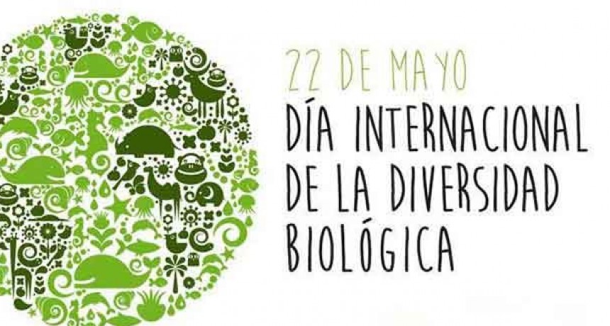 22 de Mayo; D&iacute;a Internacional de la Diversidad Biol&oacute;gica