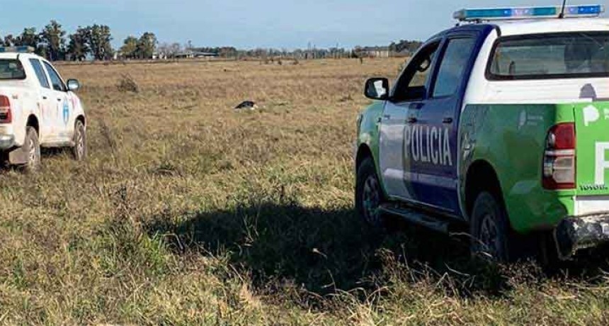 Ca&ntilde;uelas; Un adolescente muri&oacute; embestido por una camioneta en un campo de El Taladro