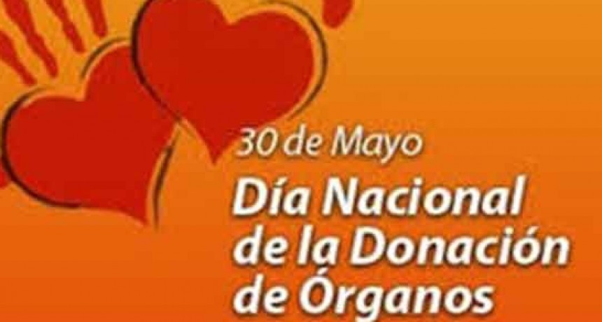 D&iacute;a nacional de la donaci&oacute;n de &oacute;rganos y tejidos