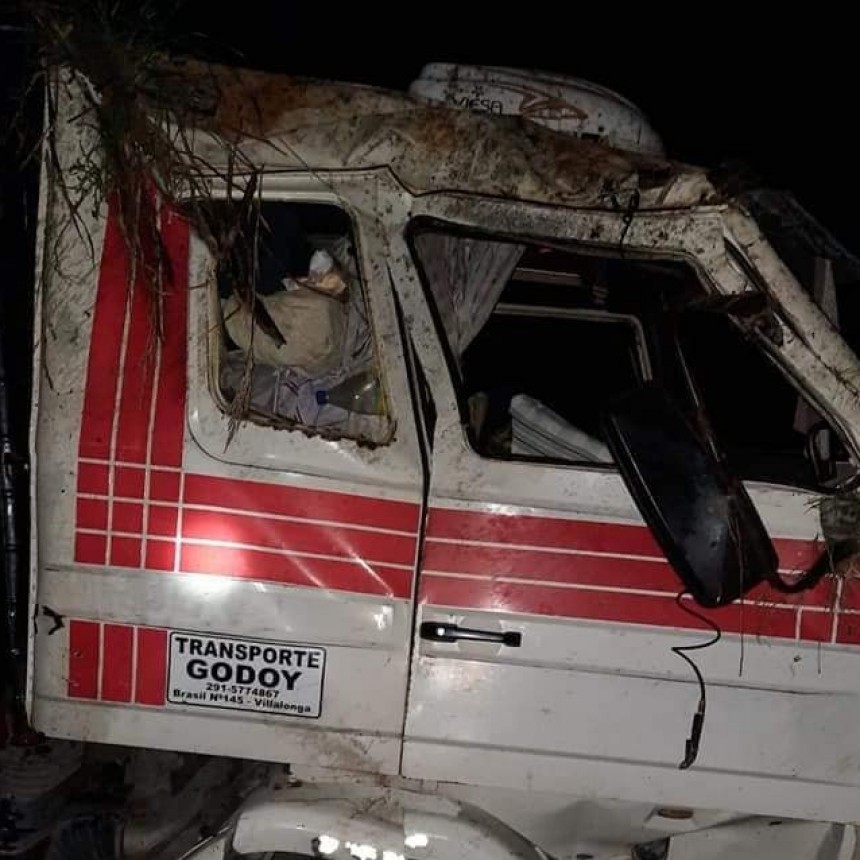 Ruta 65: Dos camiones impactaron con 9 novillos y terminaron volcando