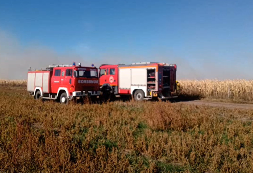 Estancia La Laurita: Varias dotaciones de Bomberos Voluntarios debieron unirse este lunes para combatir un incendio en un lote de maíz sin cosechar
