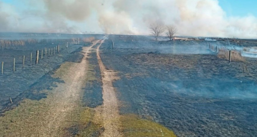 Bomberos Voluntarios de Bolívar  acudieron a un incendio forestal en un campo de Corbett, límite de partido con 9 de Julio, se quemaron 300 hectáreas con algunos animales salvajes muertos entre las llamas, esta mañana hablamos con Franco Rojas