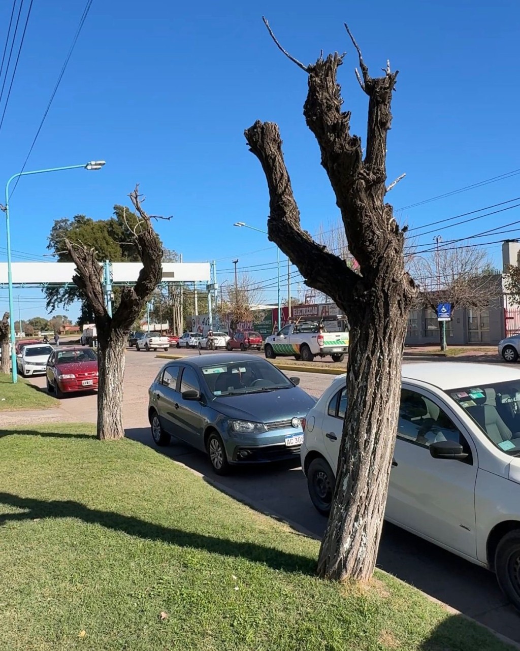 Actualidad Municipio: Comunicado de la Direcci&oacute;n de Est&eacute;tica urbana y Espacios Verdes