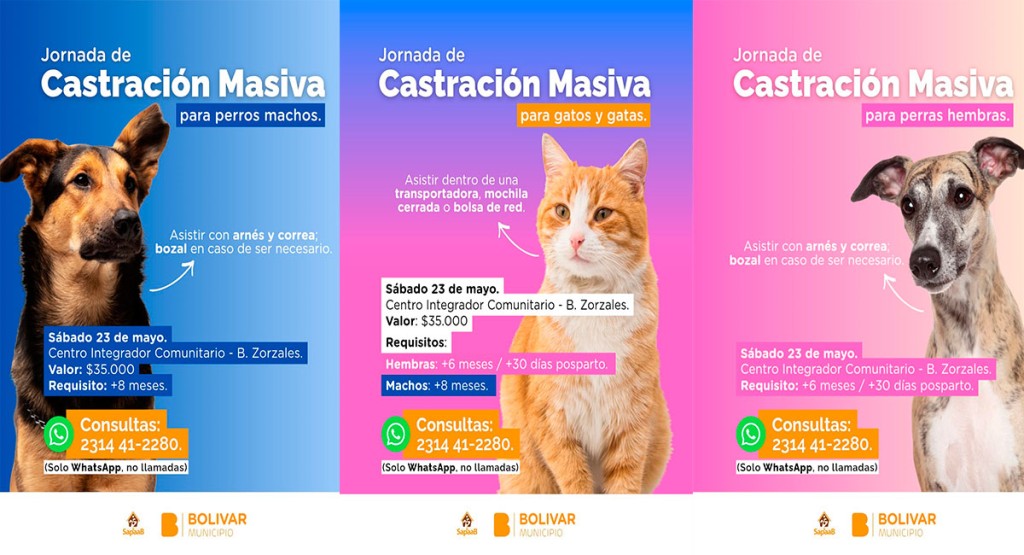 SAPAAB organiza una nueva jornada de castraci&oacute;n masiva para el s&aacute;bado 23 de mayo