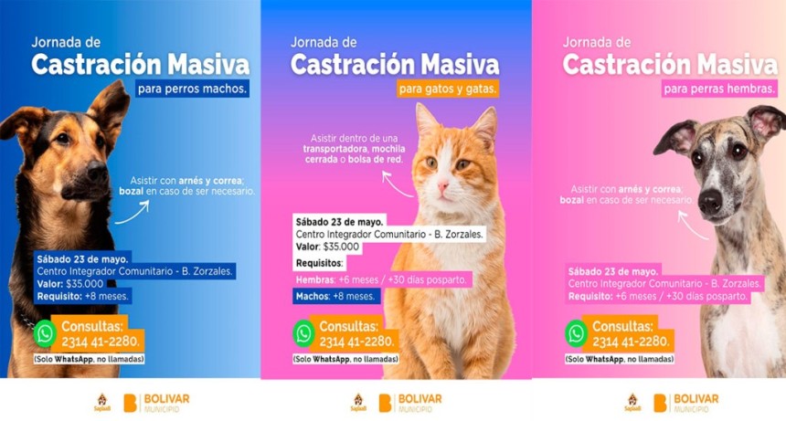 SAPAAB organiza una nueva jornada de castraci&oacute;n masiva para el s&aacute;bado 23 de mayo
