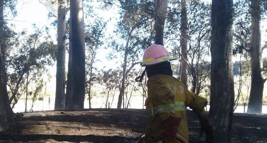 Marsiglio: Bomberos asistió al incendio de una vivienda