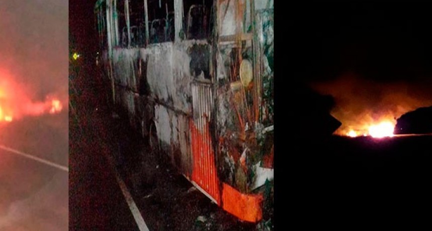 Ruta 65: Incendio total de un micro