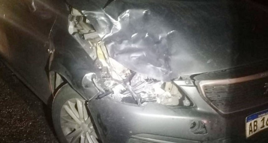 Ruta 226: una vecina bolivarense embisti&oacute; una vaca en el ingreso a Olavarr&iacute;a