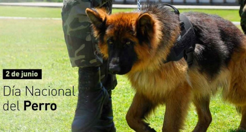 D&iacute;a del perro en Argentina