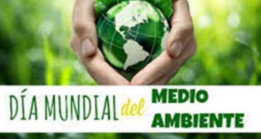 D&iacute;a Mundial del Medio Ambiente