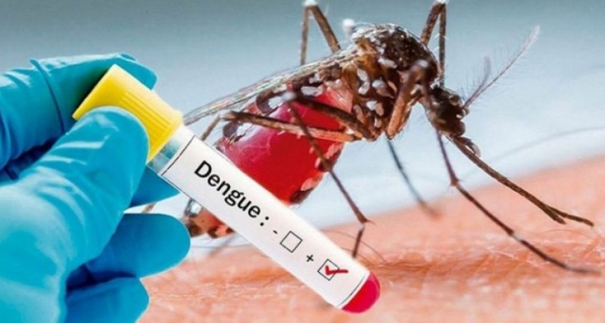 El dengue super&oacute; la barrera de los 3000 casos en territorio bonaerense
