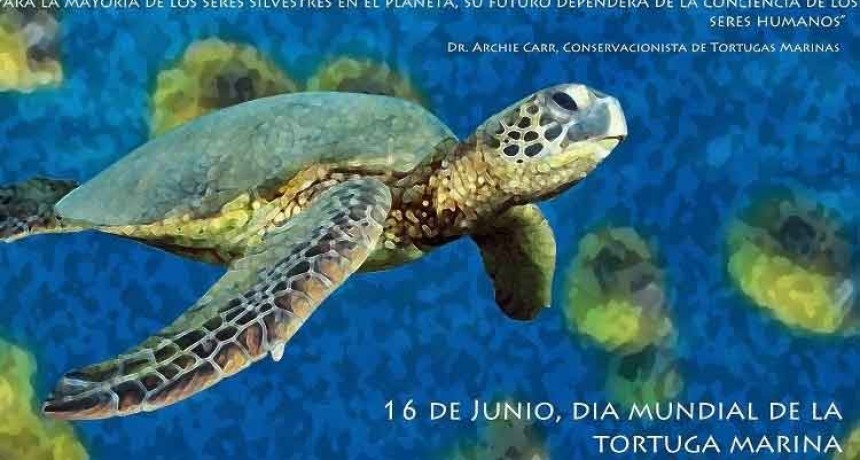 D&iacute;a Mundial de las Tortugas Marinas